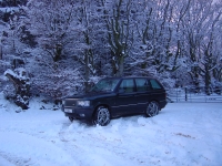 autumn 2010 058